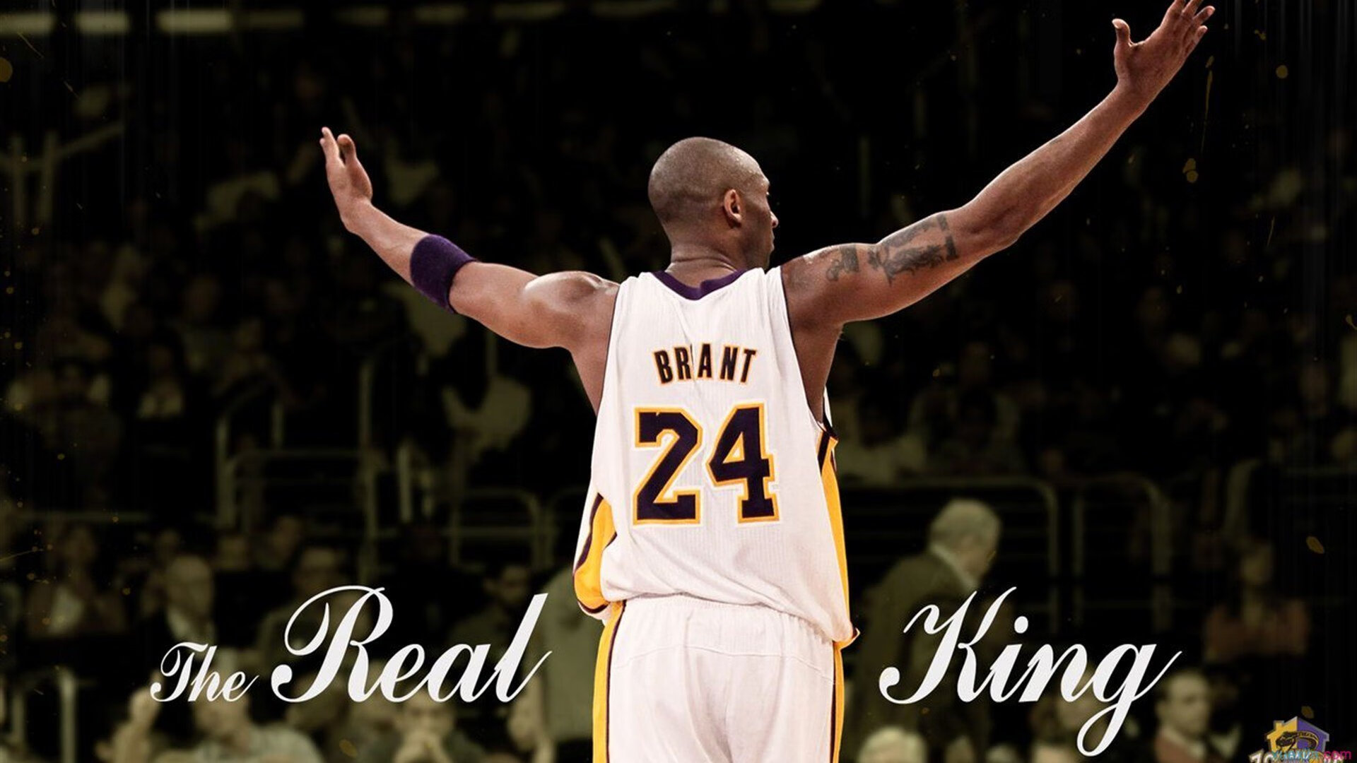 史上最“炸裂”的盖帽集锦，谁的防守最令人震撼？，盖帽属于什么防守技术